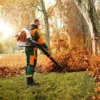 STIHL Rückentragbares Blasgerät BR 700 - Modell 2025-Neu - Image 2